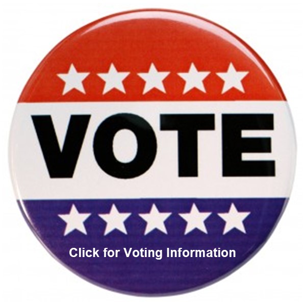 Voter info icon